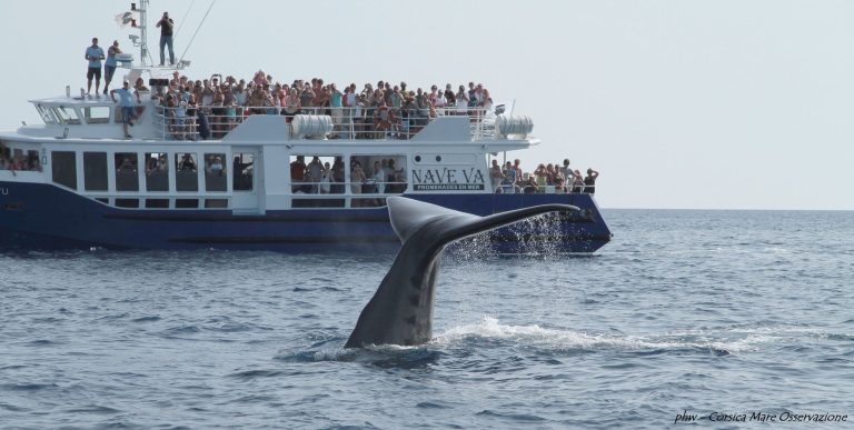 0d48316bbf2c3faa8b09ea1a177dd2a0 2050xauto 768x387