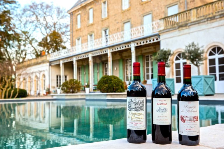 10255470 700368463353133 8344307648867183815 o 768x512