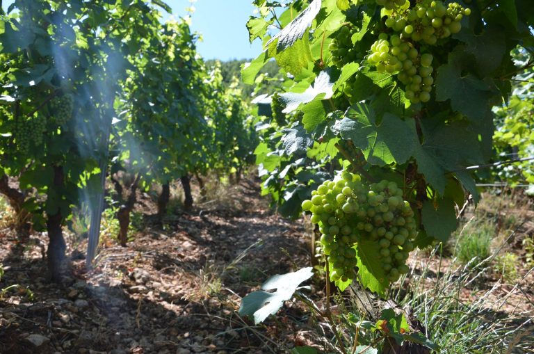 1075558 602879236429514 513723992 o 768x509