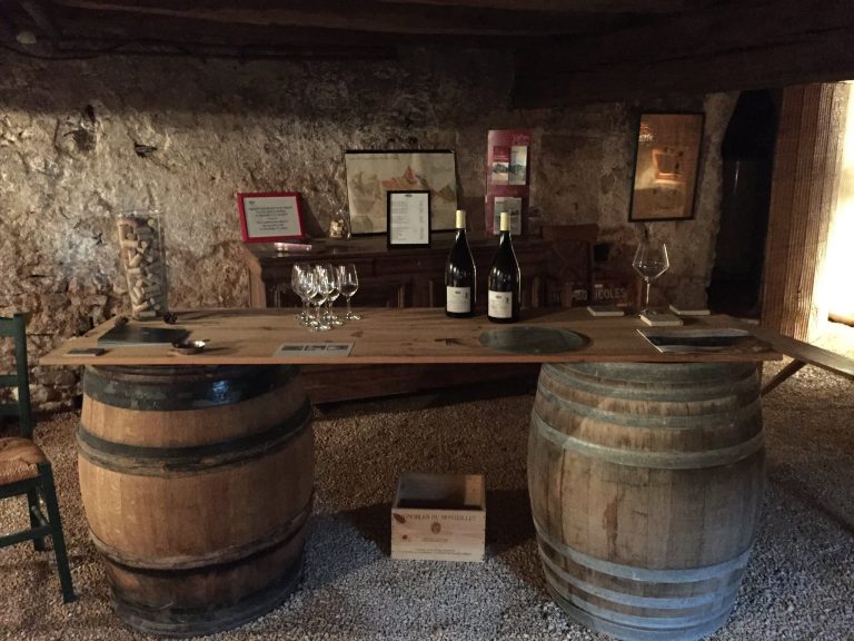 11779909 1011493482234752 7731133560527481002 o 768x576