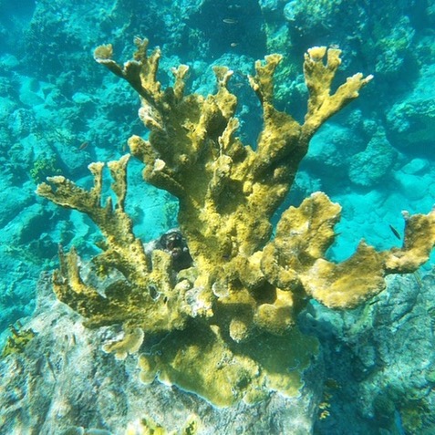 128366014 479458080105044 2123985430336557633 n