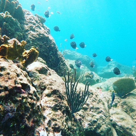 128660704 819050875321851 7876687103191448874 n