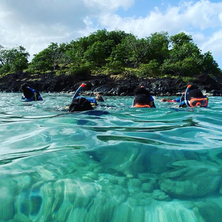 129771847 696234571283632 5179527302847714102 n 768x768