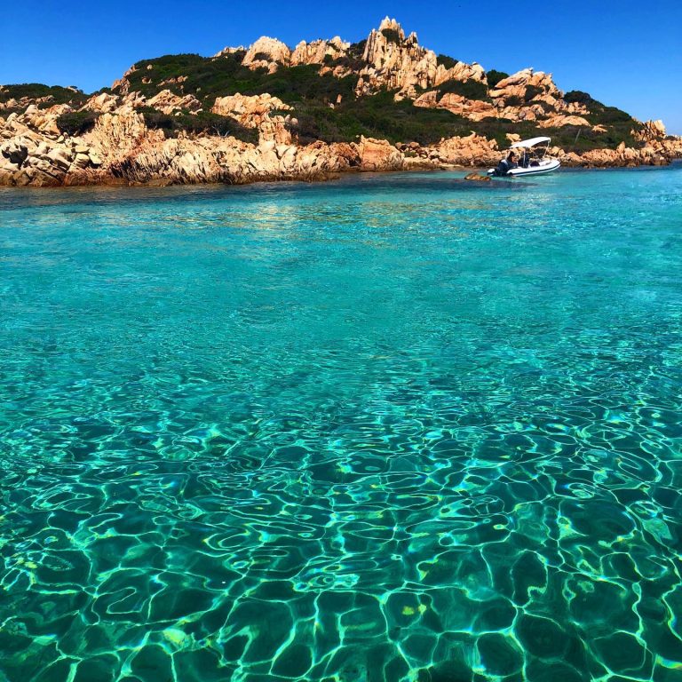 139665400 4065144383536491 8206966539806160323 n 768x768