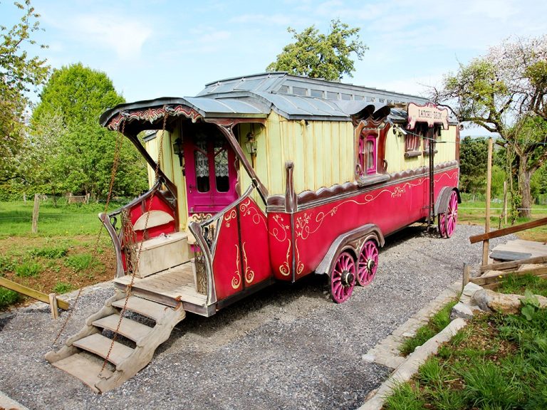 141055911 1893087674166271 4689398413848114967 n 768x576