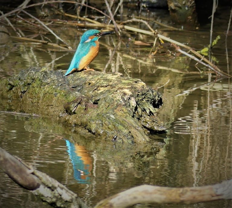 159032159 2812994095641792 1429234920714929074 n 768x691