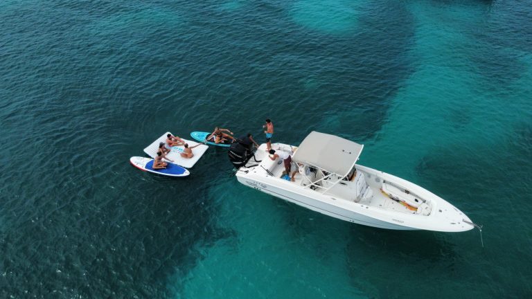 228735856 950508788828186 6603347492138596557 n 768x432