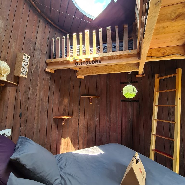 242160635 888191798743377 3845787090344034967 n 768x768