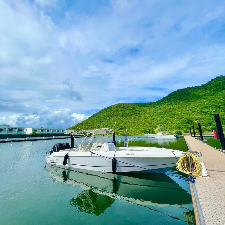 251632757 1010088322870232 809449792582382597 n 768x768