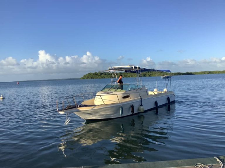 258087271 4788281141266558 1258098701612710300 n 768x574