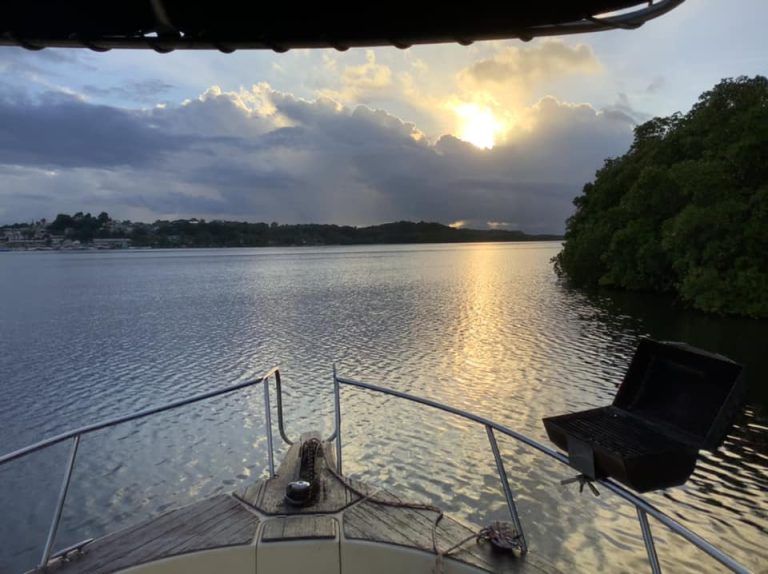 259738145 4804873062940699 476018397056586434 n 768x574