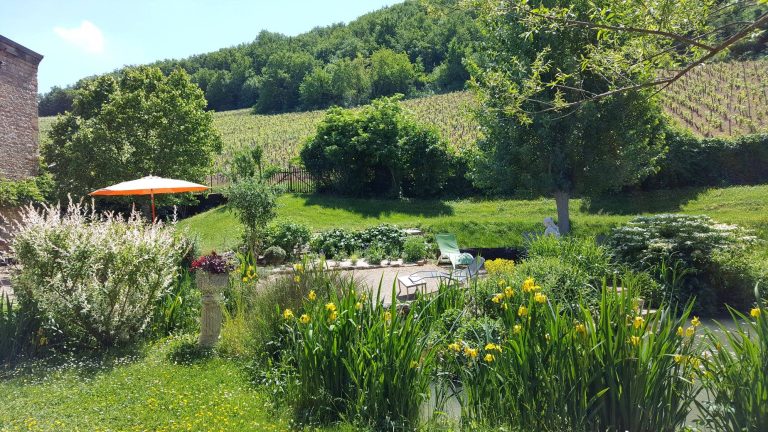 32202999 1948629495187808 410187454285348864 n 768x432