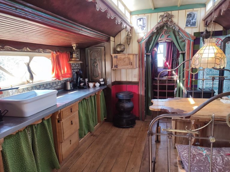 336385557 168344832716631 374933172302696162 n 768x576