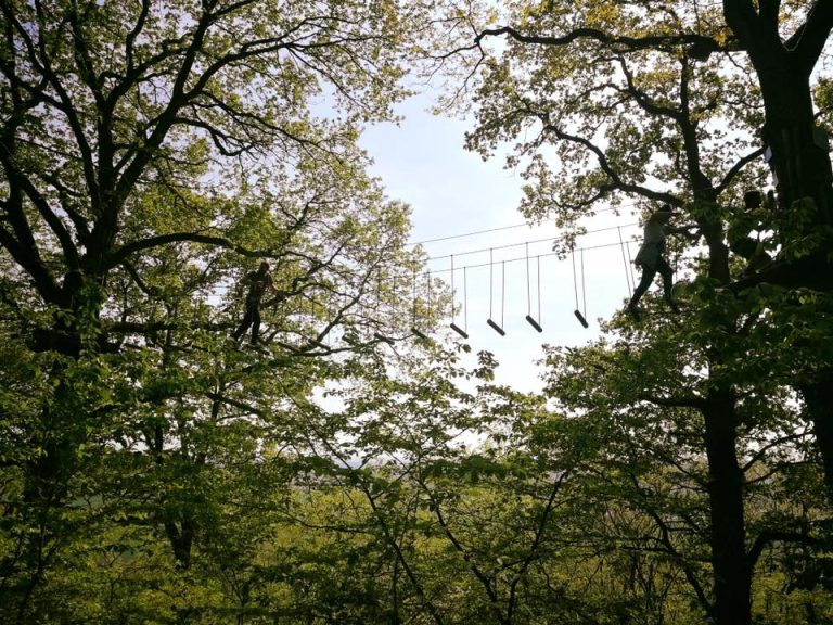 62119483 1194391530735626 283416413597597696 n 768x576