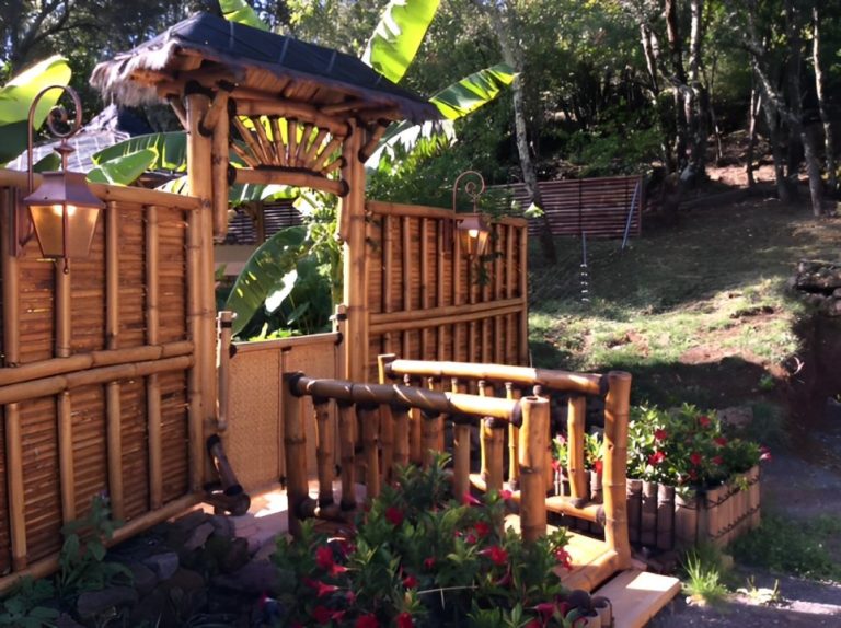 72089 1136 1783 768x574