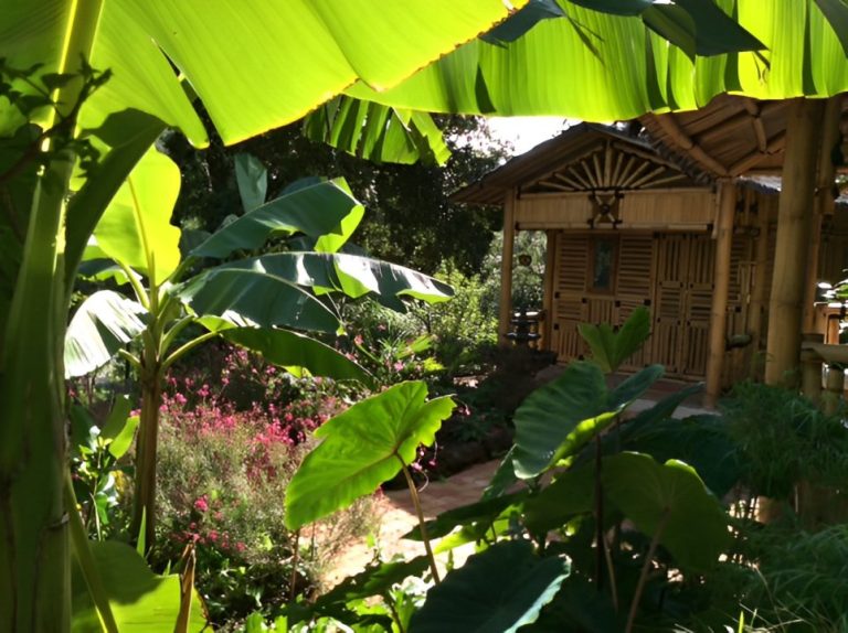 72089 1275 172 768x574