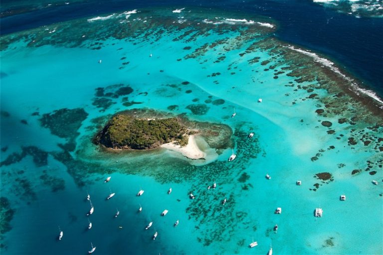 AFC Aviation 1 768x511