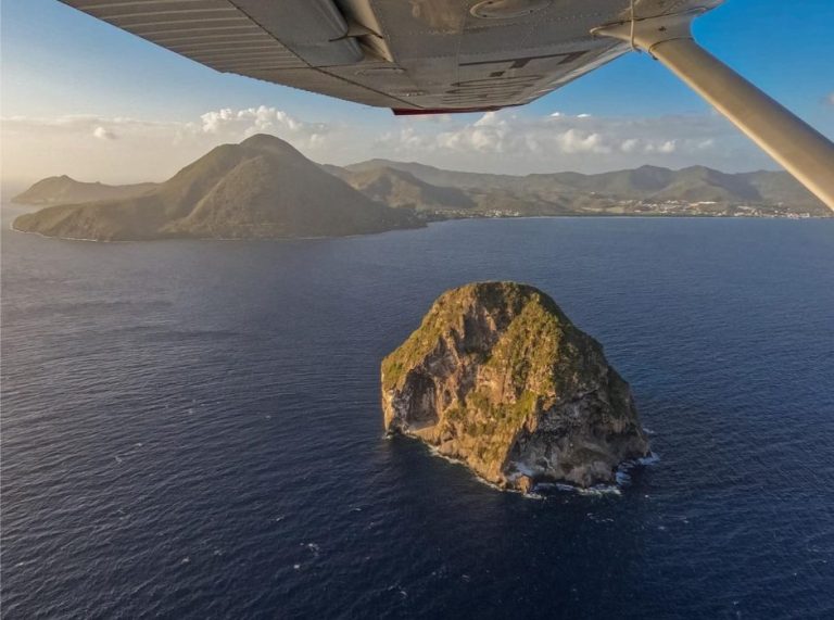 AFC Aviation 1.1 768x571