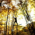 Akrobranch d&rsquo;Orlu