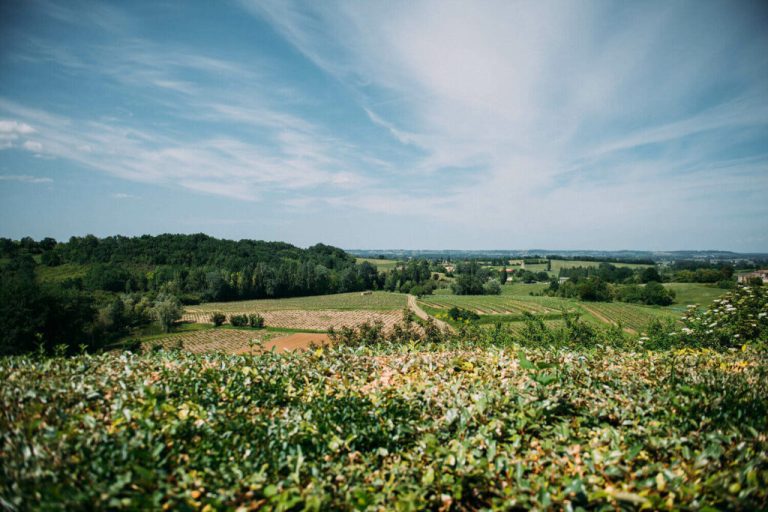 Allison Loic 231 1024x683 1 768x512