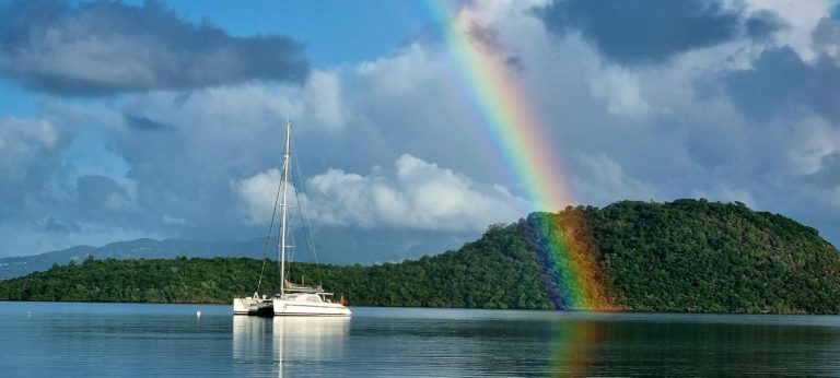 Blue Dream 1 768x346