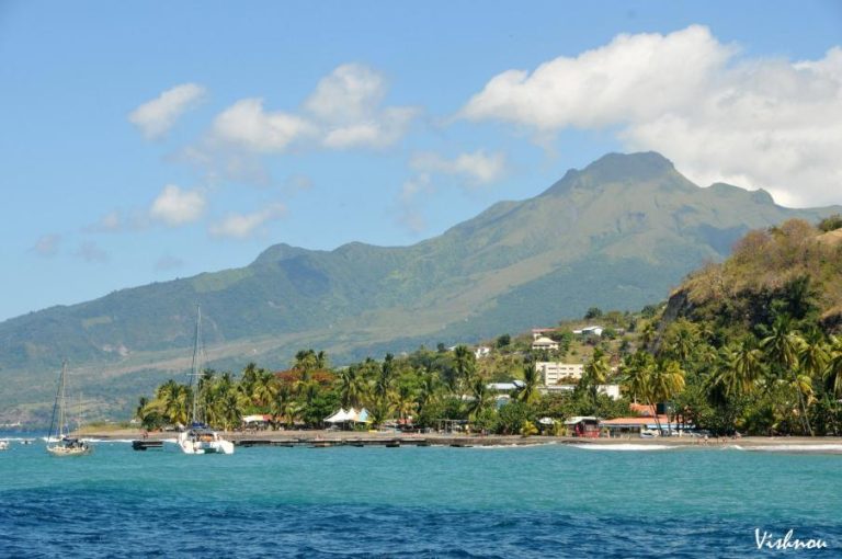 Blue Dream 4 768x510