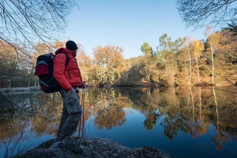 Broceliande 21 768x512
