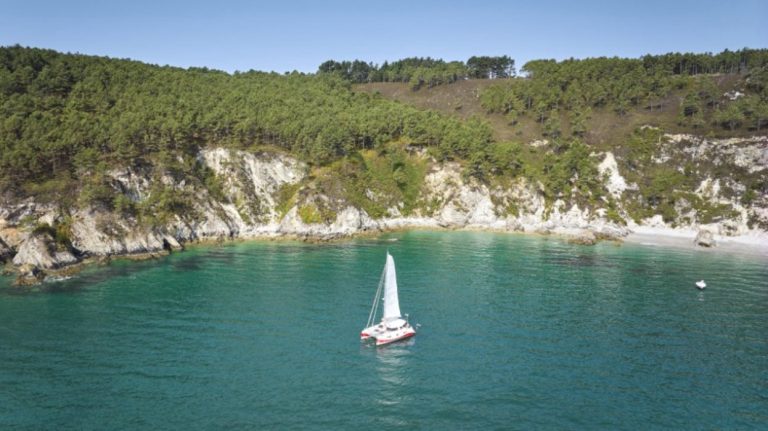 Catavoile 29 8 768x431