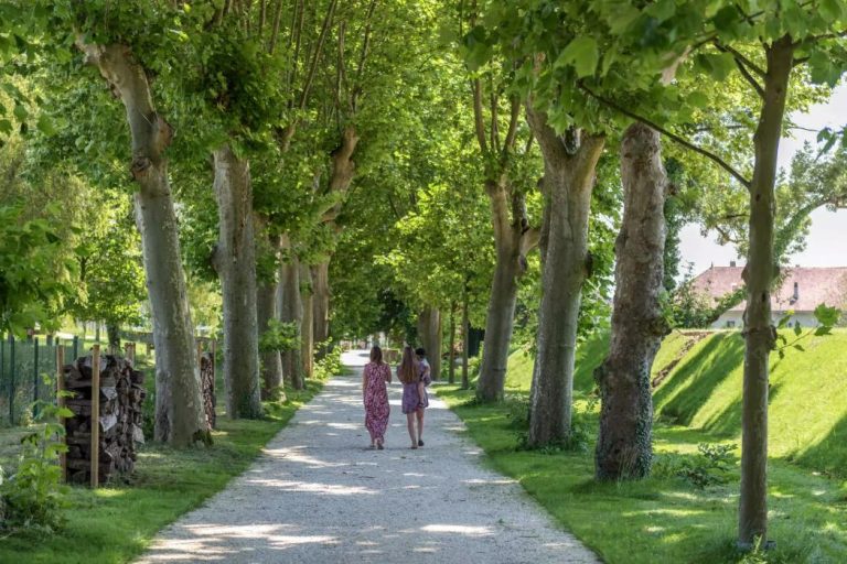 Chateau Brachet 1 768x512