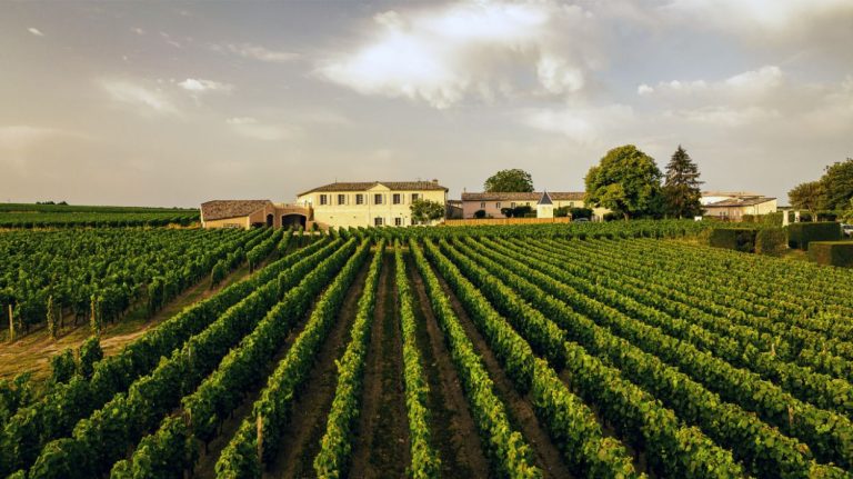 Chateau le Chatelet 5 768x431