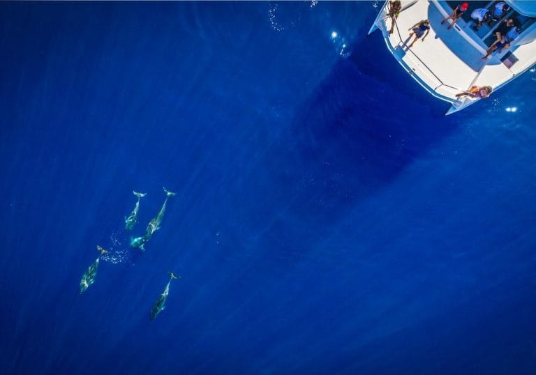 Croisieres Australes 1 768x538