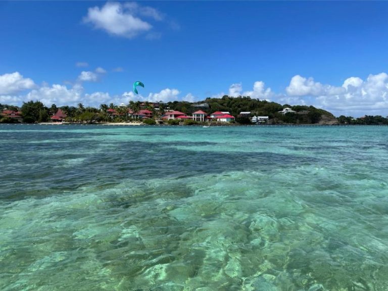 Denis Excursions 7 768x576