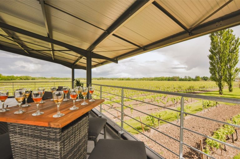 Domaine de Bessons 2 768x510