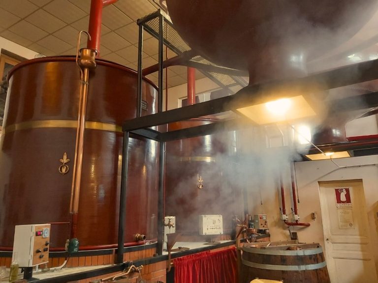 Domaine de Bessons 8 768x576