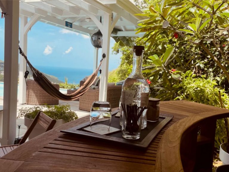 Domaine de Mapou 1 768x576