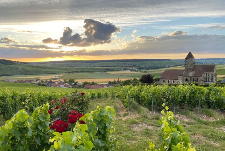 Envie de Champagne 5 768x515