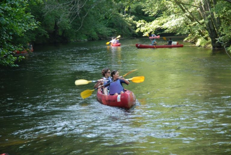 FUJ 4598 Resolution de lecran 768x515