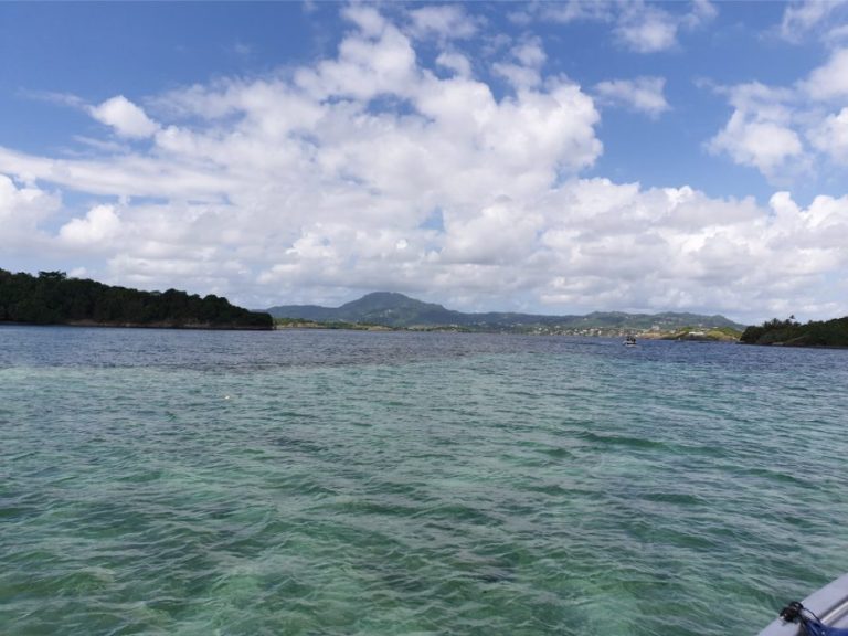 Keep It Cool 11 768x576