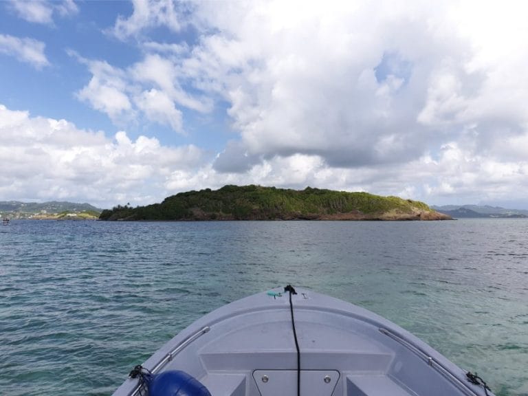 Keep It Cool 12 768x576