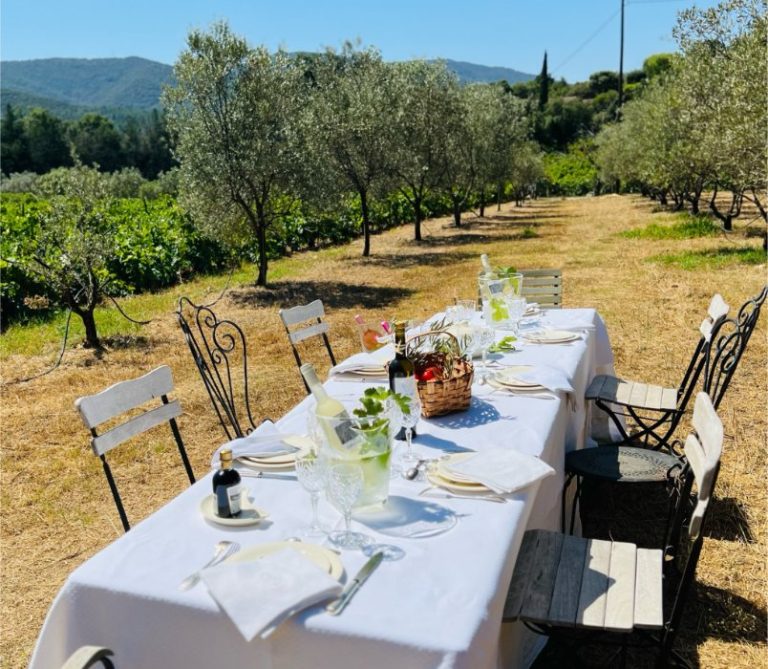 Le chateau de Tremouries 1 768x669