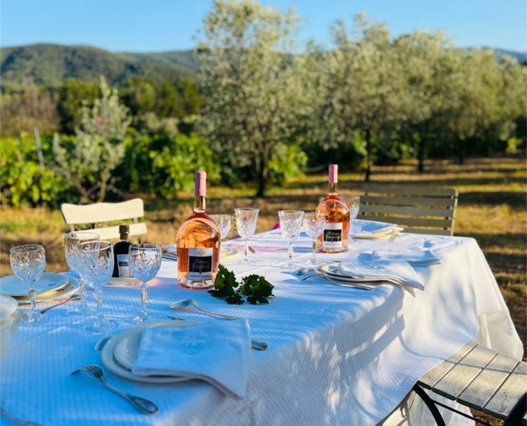 Le chateau de Tremouries 2 768x621