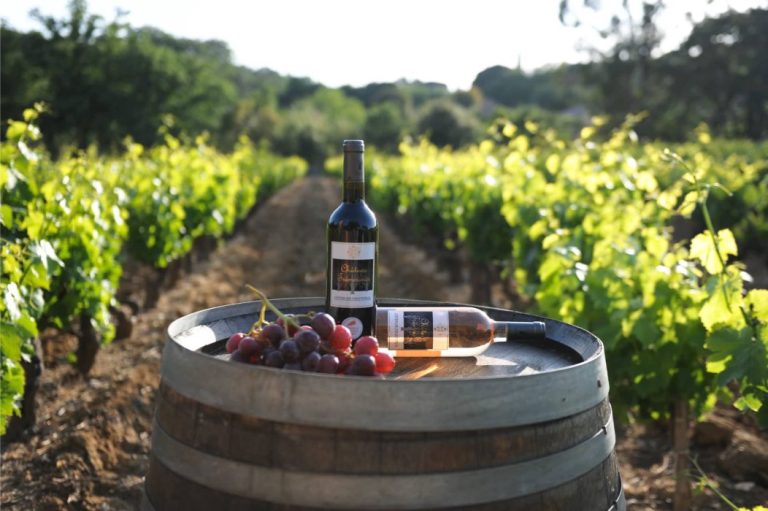 Le chateau de Tremouries 8 768x511