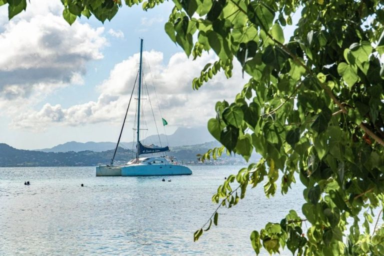 Les Ballades du Delphis 1 768x512