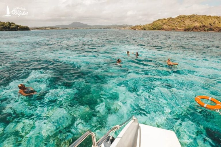 Les Ballades du Delphis 2 768x512