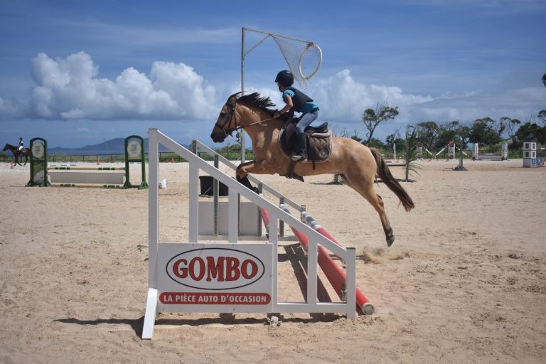 Les Ecuries de la Coulisse 1 768x512