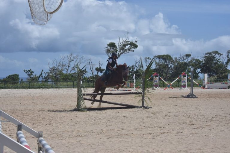 Les Ecuries de la Coulisse 2 768x512