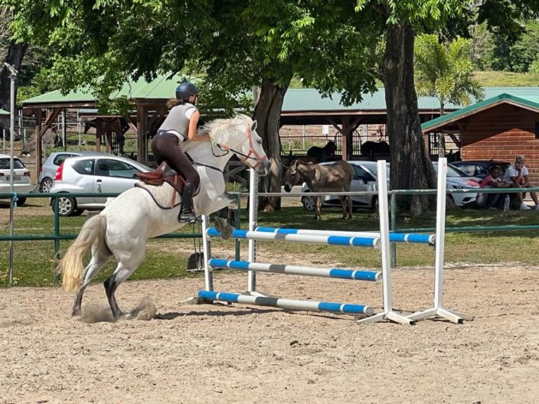 Les Ecuries de la Coulisse 3 768x576