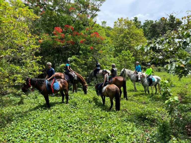 Les Ecuries de la Coulisse 5 768x576