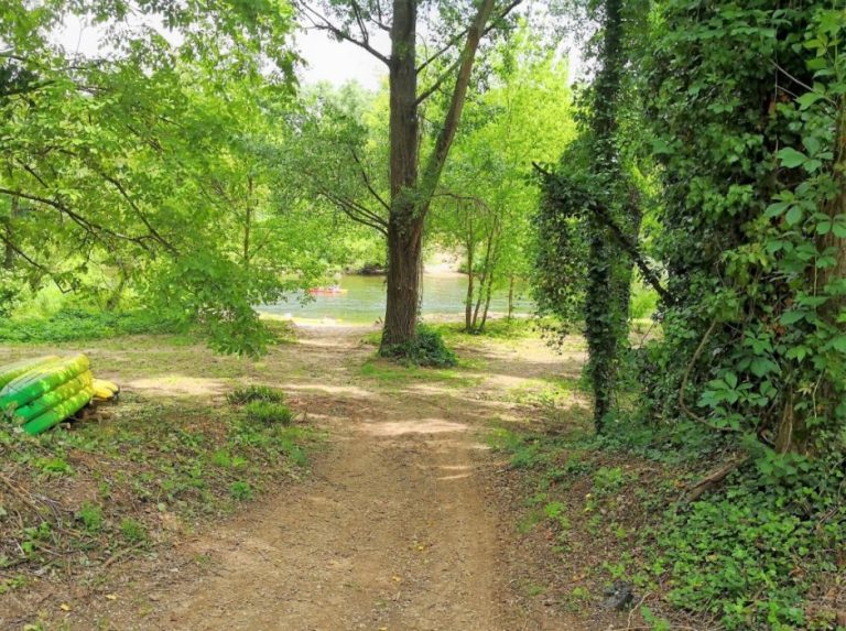 Les cigalous 6 768x573