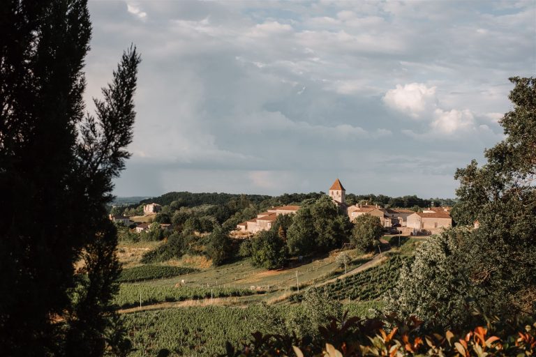 MariageVanessa Anthony659 Copie1 websize 768x512